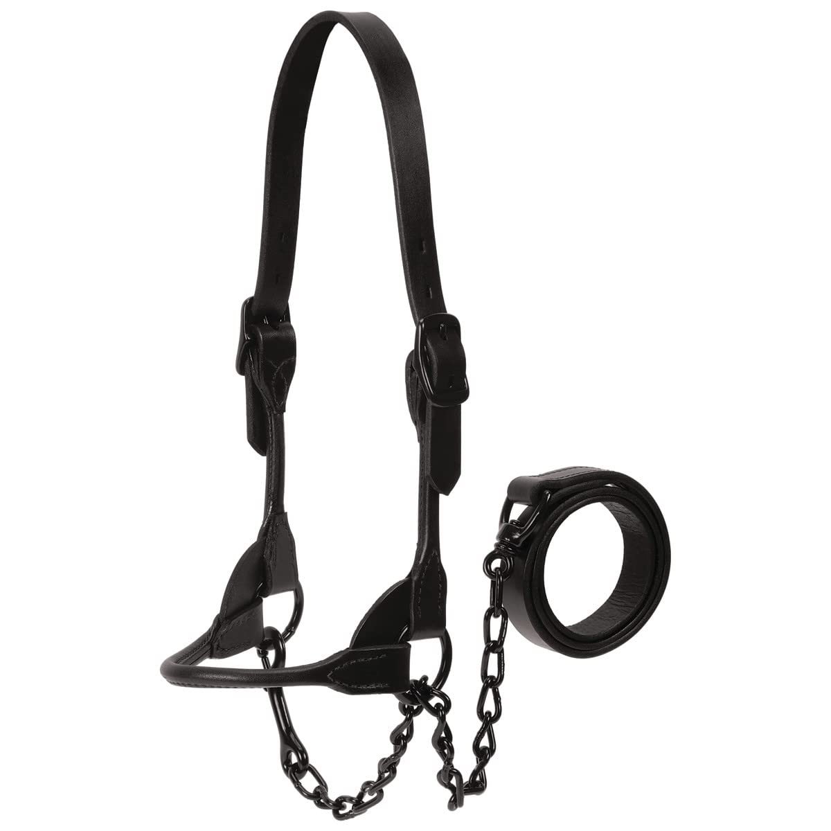Weaver Leather Magic Show Halter - Adjustable Horse Halter for Training & Performance - Durable Nylon Rope with Brass Hardware - Perfect for Equestrian Shows, Riding, and Stable Use