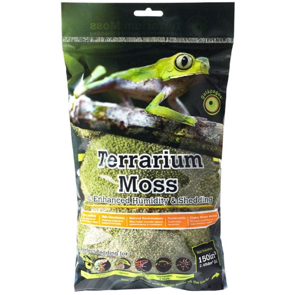 Galápagos Pillow Moss - Premium Natural Moss for Terrariums, Vivariums & Home Decor | Perfect for DIY Projects, Fairy Gardens & Indoor Plant Displays