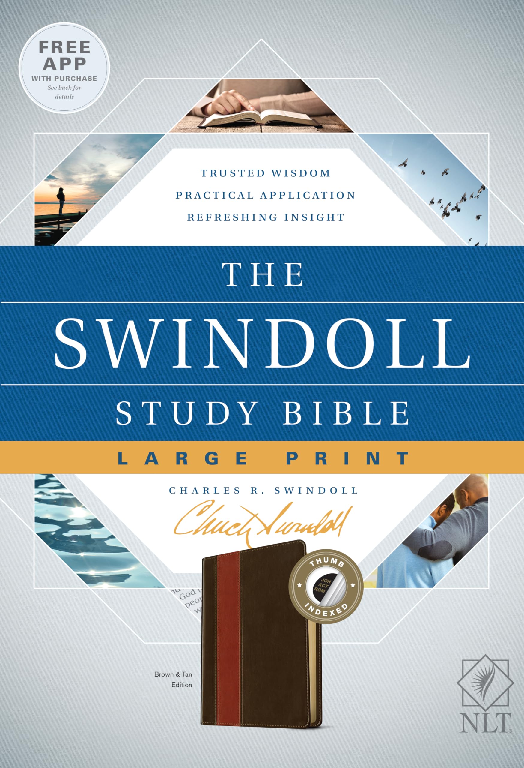NLT Swindoll Study Bible - Large Print LeatherLike, Brown/Tan | Study Notes & Index | For Bible Study & Devotion