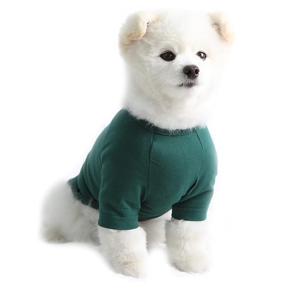 Small Dog Shirt - Soft Cotton Green Pet Tee for Daily Walks & Play