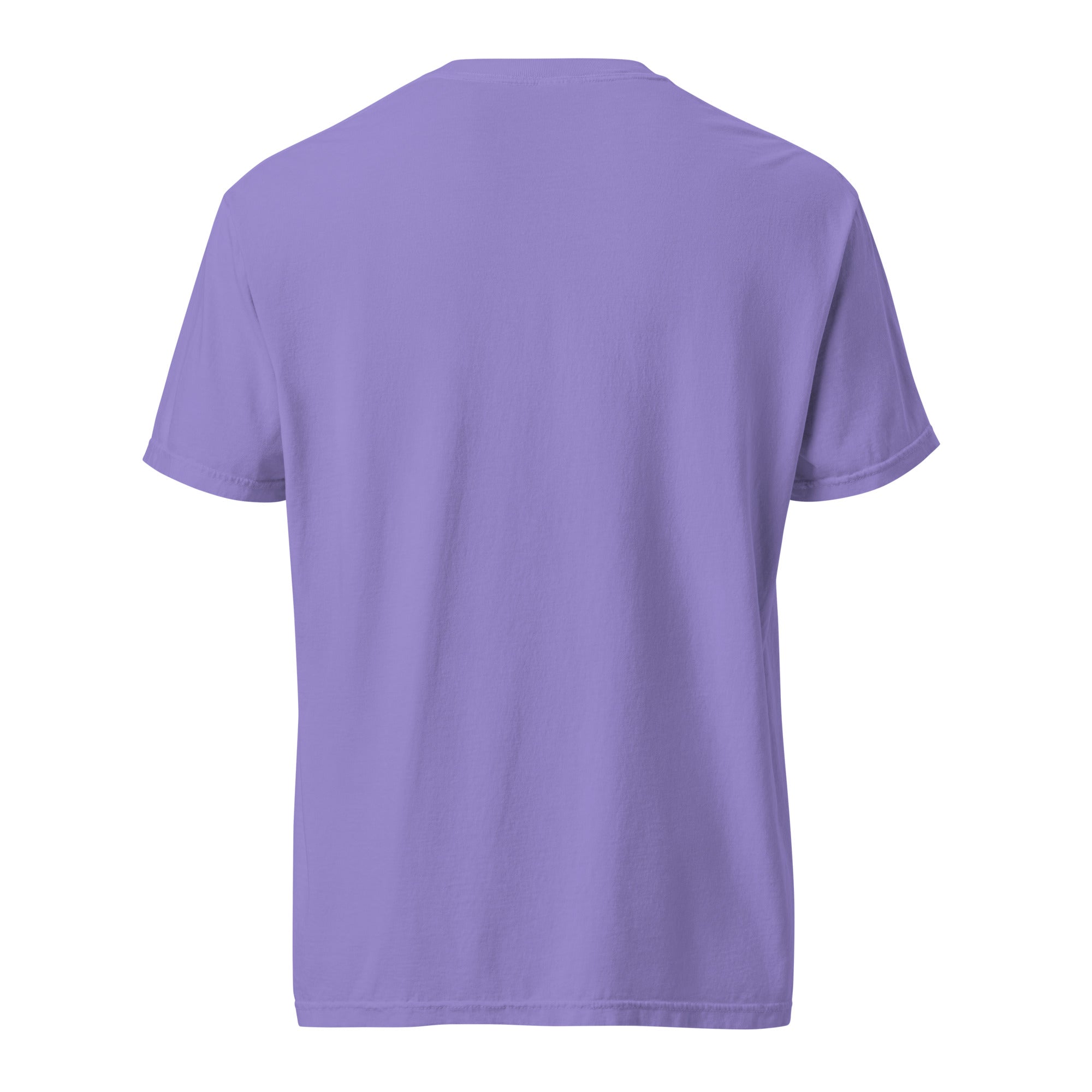 Hummingbird Graphic T-Shirt - Wildlife Series | Garment Dyed Soft Cotton Tee for Bird Lovers & Nature Enthusiasts | Casual Wear & Outdoor Activities