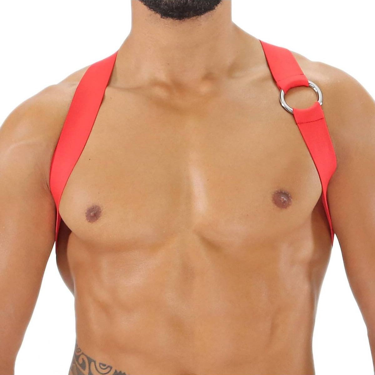 TOF Party Boy Harness Red - Adjustable Dog Harness for Small to Medium Dogs, Perfect for Walking, Training & Outdoor Adventures