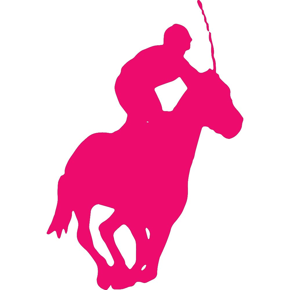 Premium Waterproof Vinyl Decal Stickers - Polo Horse Design (Pink, Set of 2) for Laptop, Phone, Helmet, Car Window, Mug & Home Decor | Durable Adhesive for Indoor & Outdoor Use