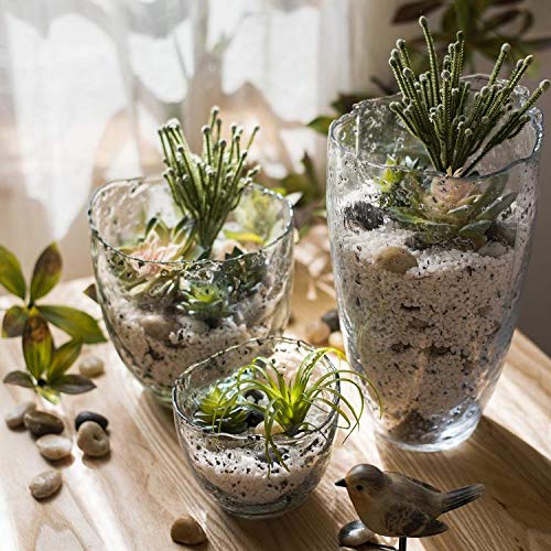 RusticReach Clear Art Glass Vase - Handcrafted Modern Home Decor for Flowers, Centerpieces & Wedding Decorations - Perfect for Living Room, Dining Table & Event Styling