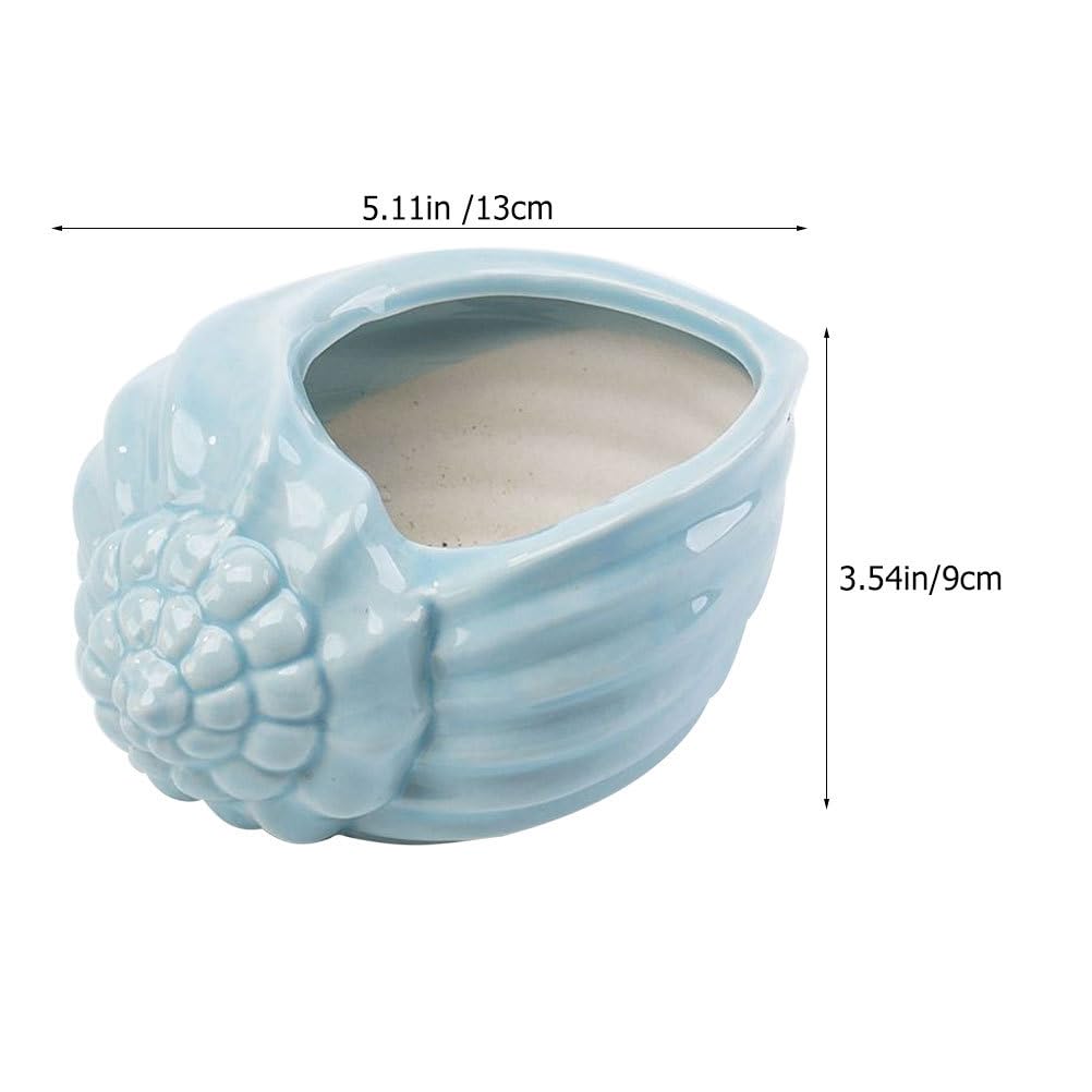 Mediterranean Style Ceramic Conch Planter - Shell Shaped Flower Pot for Bonsai, Succulents & Hydroponic Plants | Perfect for Home, Office & Garden Decor | Desktop Plant Container with Drainage Hole