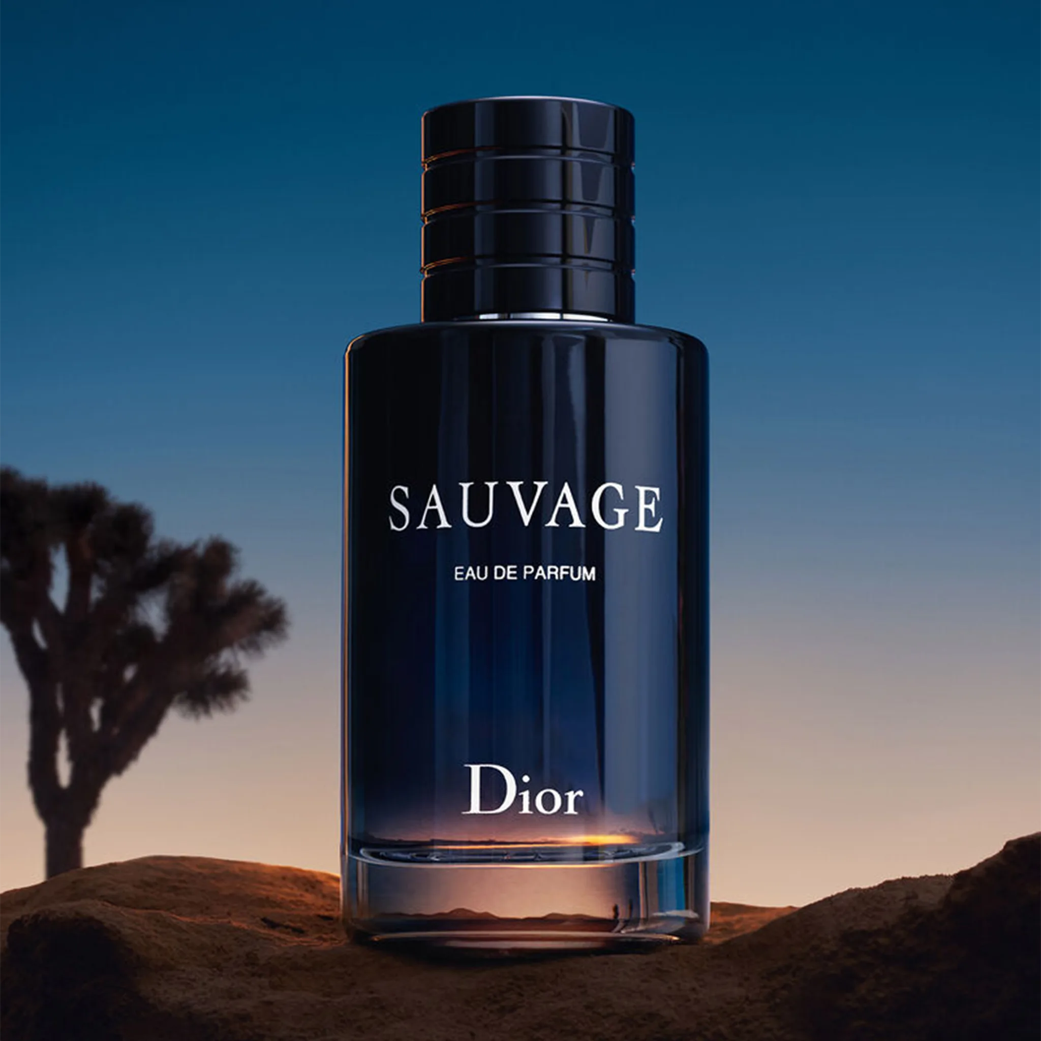 Dior Sauvage Eau De Parfum for Men - Premium Long-Lasting Cologne with Woody Spicy Notes - Perfect for Date Night & Special Occasions