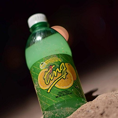 Ting Lightly Carbonated Soda - 20 Oz Cans (24 Pack) | Refreshing Citrus Flavored Sparkling Drink | Perfect for Parties, BBQs & Office Refreshments
