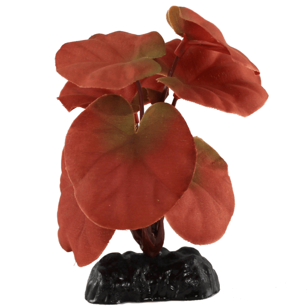 Premium Red Cardamine Silk Betta Plant (4 Pack) - Natural Aquarium Decor for Betta Fish Tanks, Enhances Water Quality & Provides Shelter - Perfect for Home & Office Aquariums