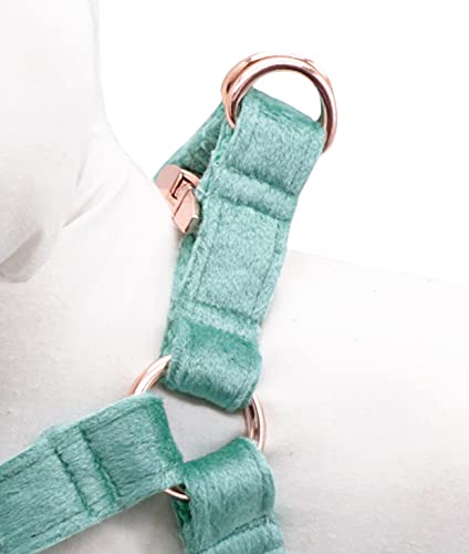 ARING PET Dog Harness - Adjustable Soft Velvet Harness for Small, Medium & Large Dogs | Comfortable & Secure Walking Vest for Daily Walks, Training & Outdoor Adventures