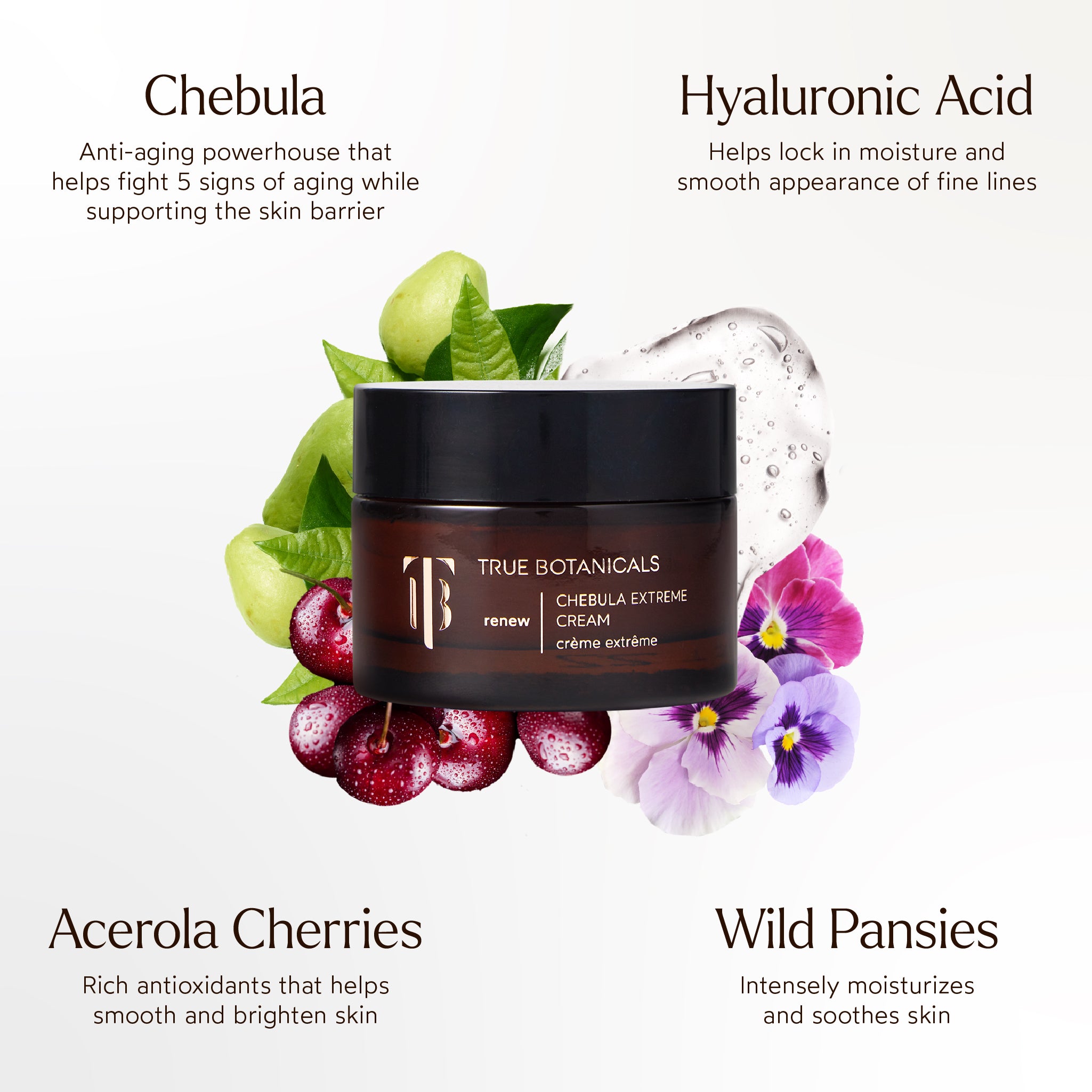 Renew Chebula Extreme Cream – Anti-Aging Face Moisturizer for Wrinkles & Fine Lines | Hydrating & Firming Skincare for Daily Use