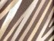 Chocolate Abstract Stripe