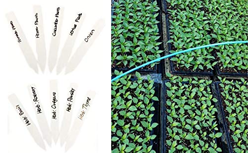 300 Pcs 4 Inch White Plastic Plant Nursery Labels - Garden Markers, Pot Stakes for Seedlings, Herbs & Vegetables - Perfect for Indoor/Outdoor Gardening & Greenhouse Organization