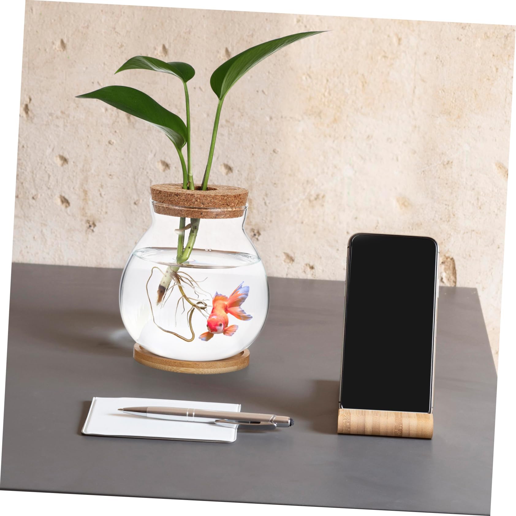 Glass Terrarium with Lid - Goldfish Bowl, Betta Fish Tank, Hydroponic Plant Vase for Office Desk Decor | Perfect for Home Aquarium, Indoor Gardening & Zen Bamboo Arrangements