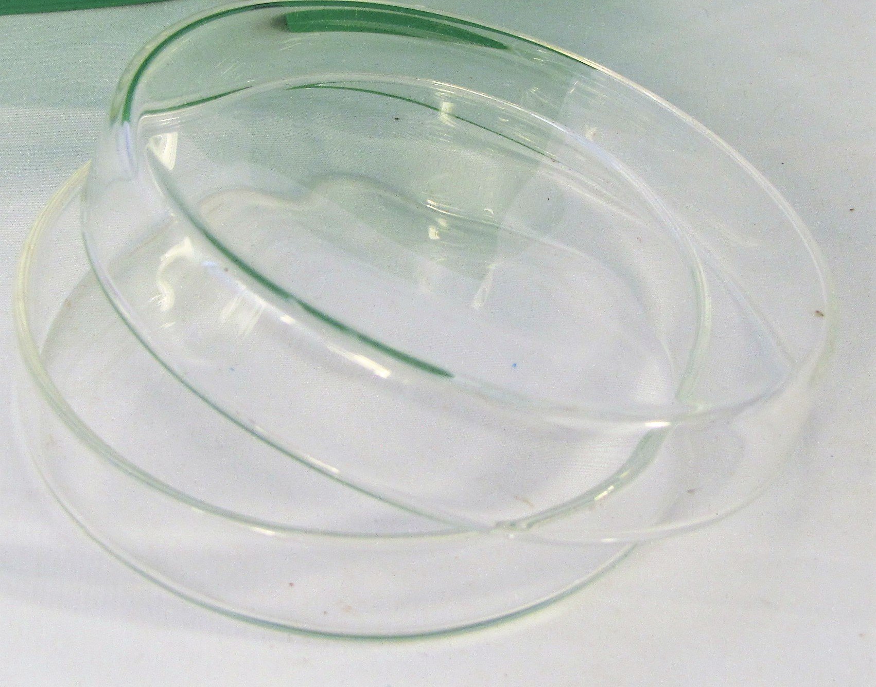 6-Pack 100mm Glass Petri Dishes - Borosilicate Lab-Grade Tissue Culture Plates for Microbiology, Cell Culture & Scientific Experiments
