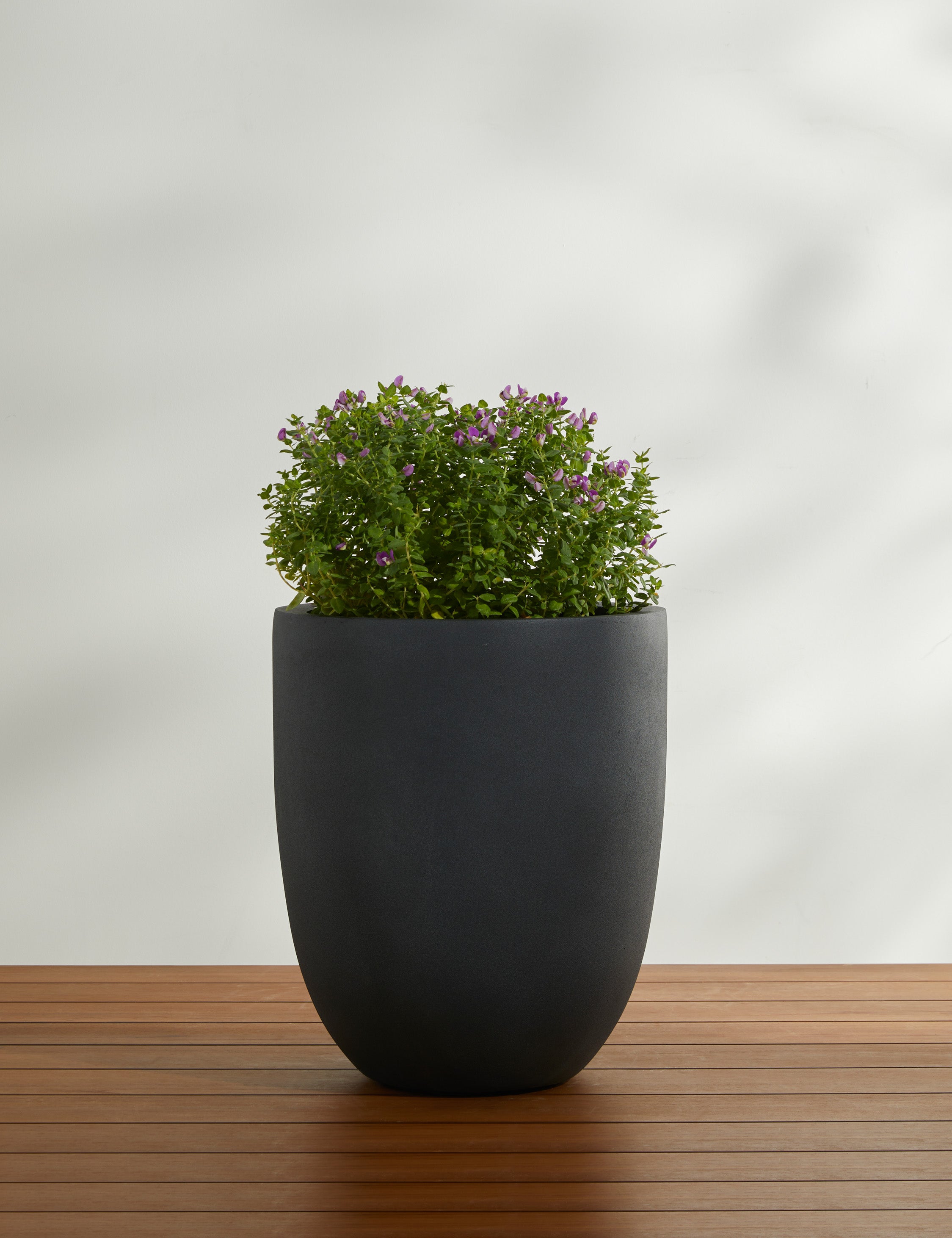 Campania International Bradford Planters - Elegant Garden Planters for Outdoor & Indoor Decor - Perfect for Patios, Balconies, and Home Gardens