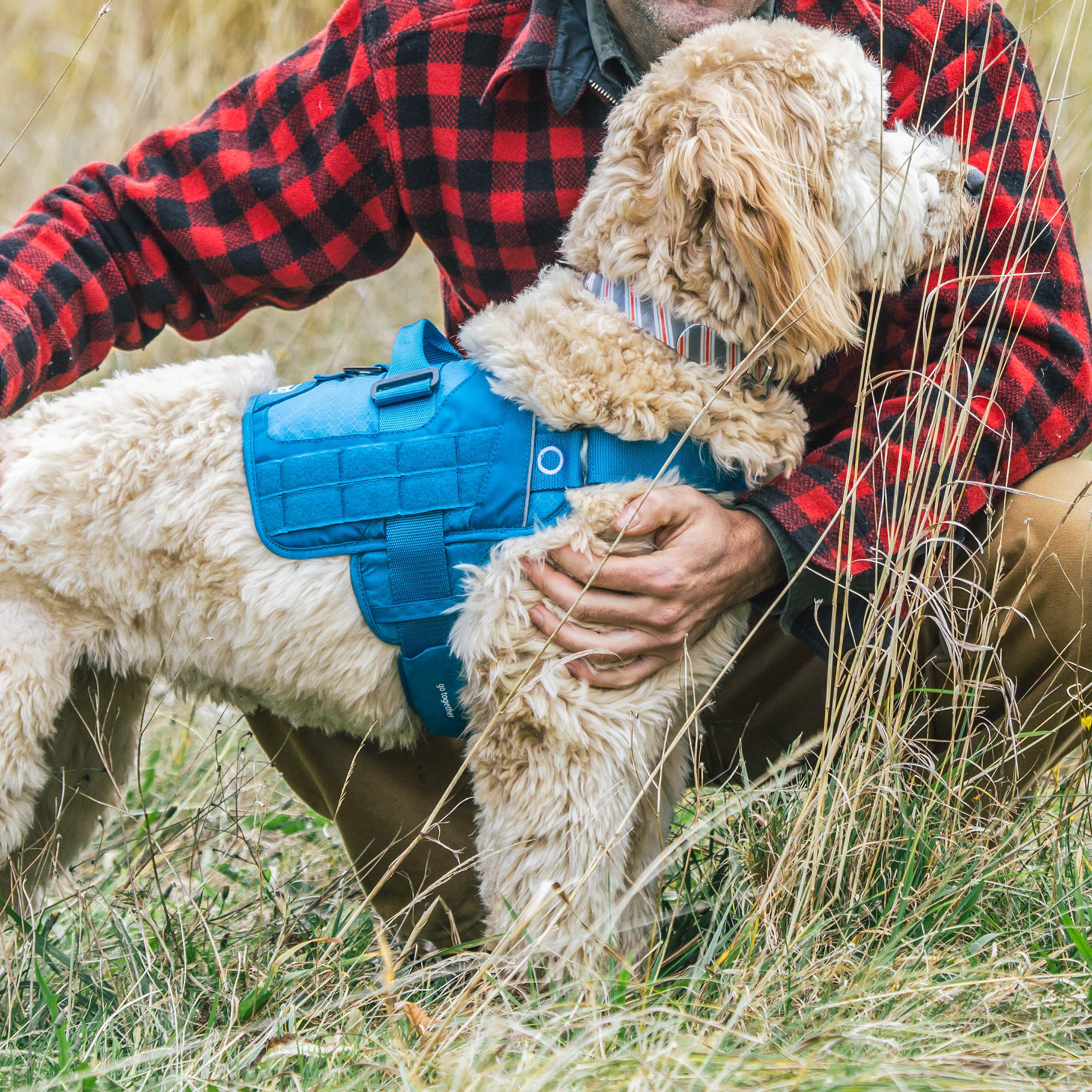 Kurgo MOLLE Clip Compatible Dog Harness - Adjustable Service Dog Training Vest for Small Medium Large & X-Large Dogs - Tactical MOLLE Vest with Padded Straps (Black) - Perfect for Outdoor Adventures, Hiking & Service Dog Training
