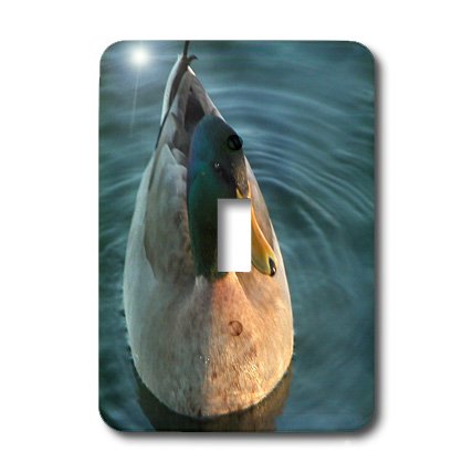 3D Rose Drake Mallard Duck Toggle Switch Cover - Decorative Light Switch Plate for Home, Office, Nursery - Funny Duck-Themed Electrical Accessory for Fans of Cartoon Characters