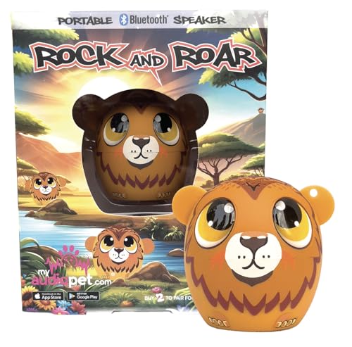 Rock and Roar