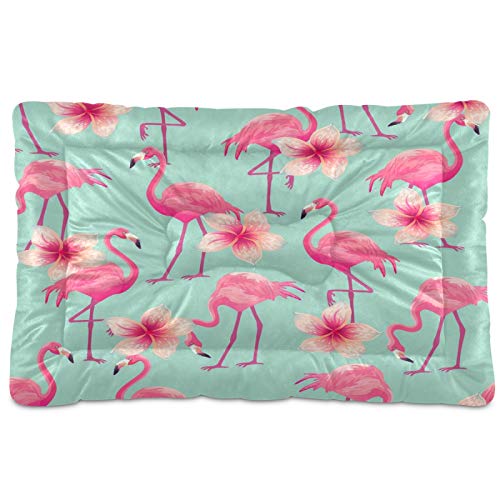 Beautiful Pink Flamingo