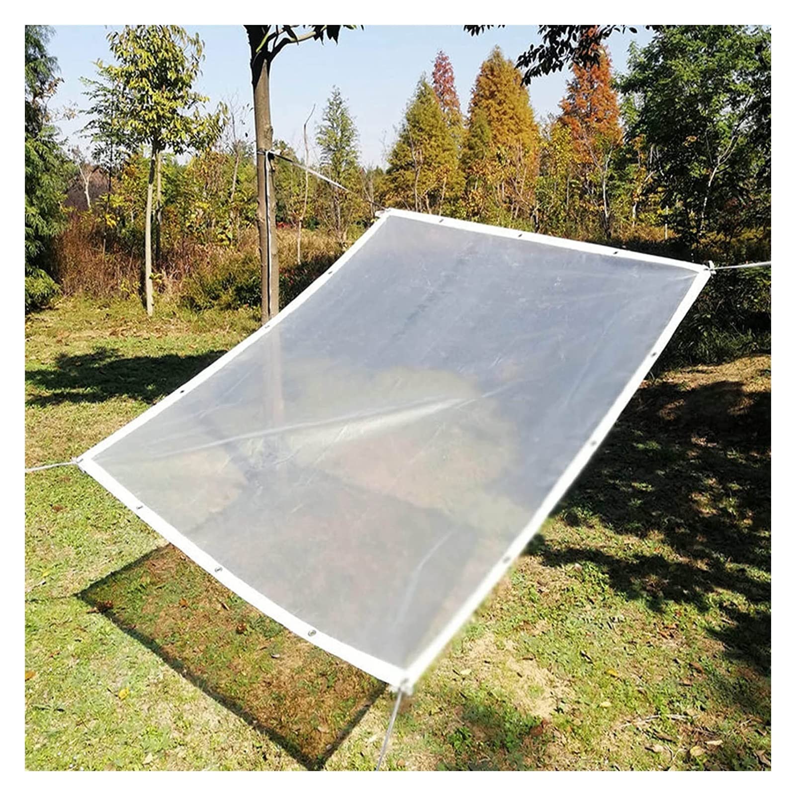 Heavy-Duty Clear PE Tarpaulin Chicken Coop Cover - 26.24x26.24ft (8x8m) Waterproof Outdoor Plastic Curtain with Reinforced Eyelets - Ideal for Balcony Windows, Gazebo, Gardening & Winter Animal Shelter Protection