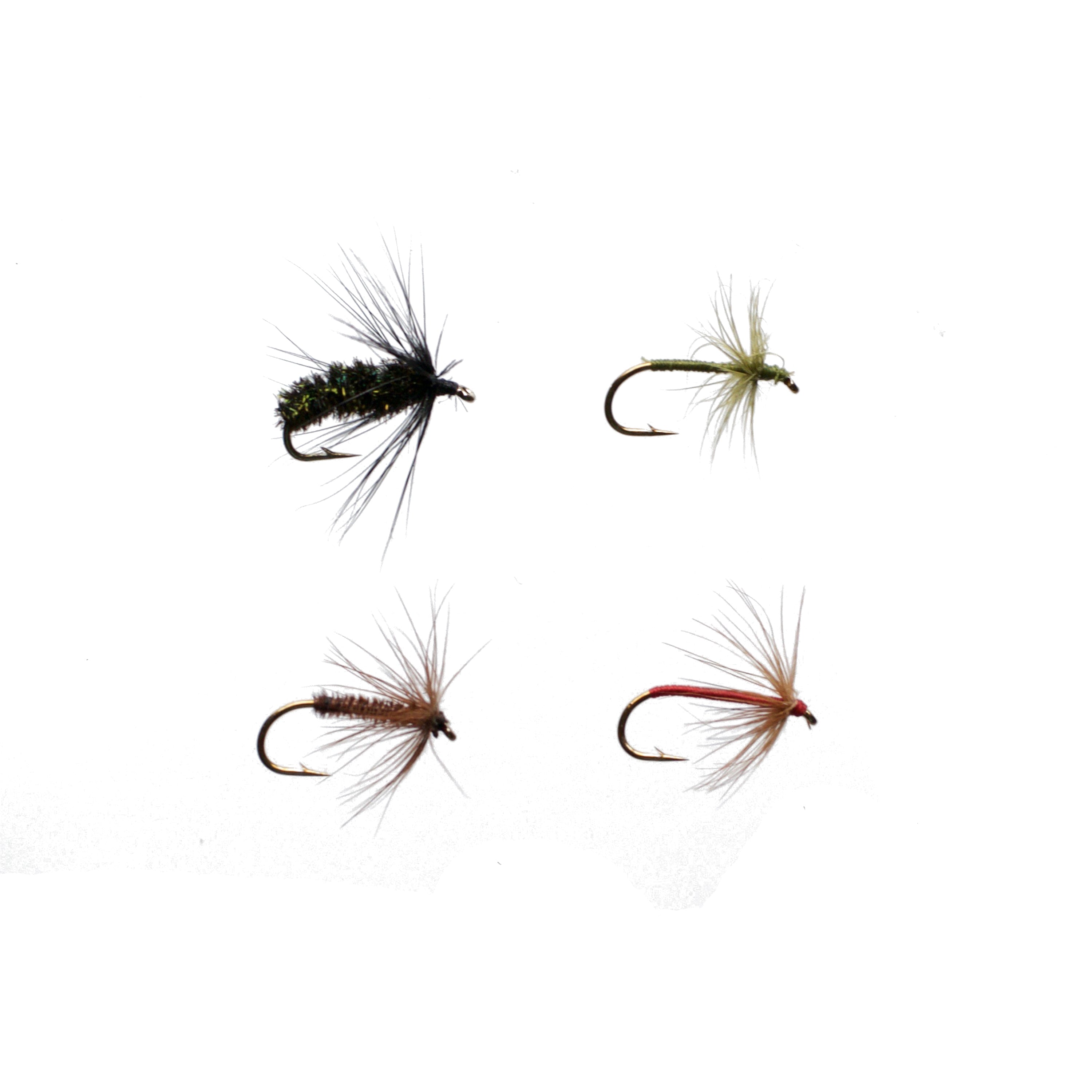 Premium Wet & Soft Hackle Fly Assortment for Trout Fishing - Perfect for Fly Tying and Stream Fishing Adventures