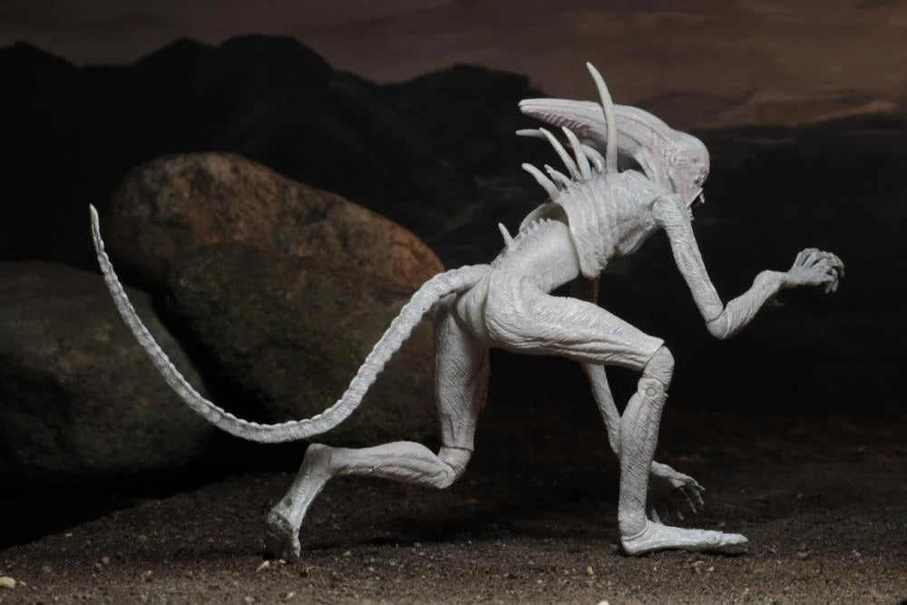 Alien: Covenant Neomorph Action Figure - Collectible Movie Merchandise for Sci-Fi Fans | Perfect for Display, Cosplay & Gift Giving
