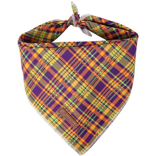 FivePlaid
