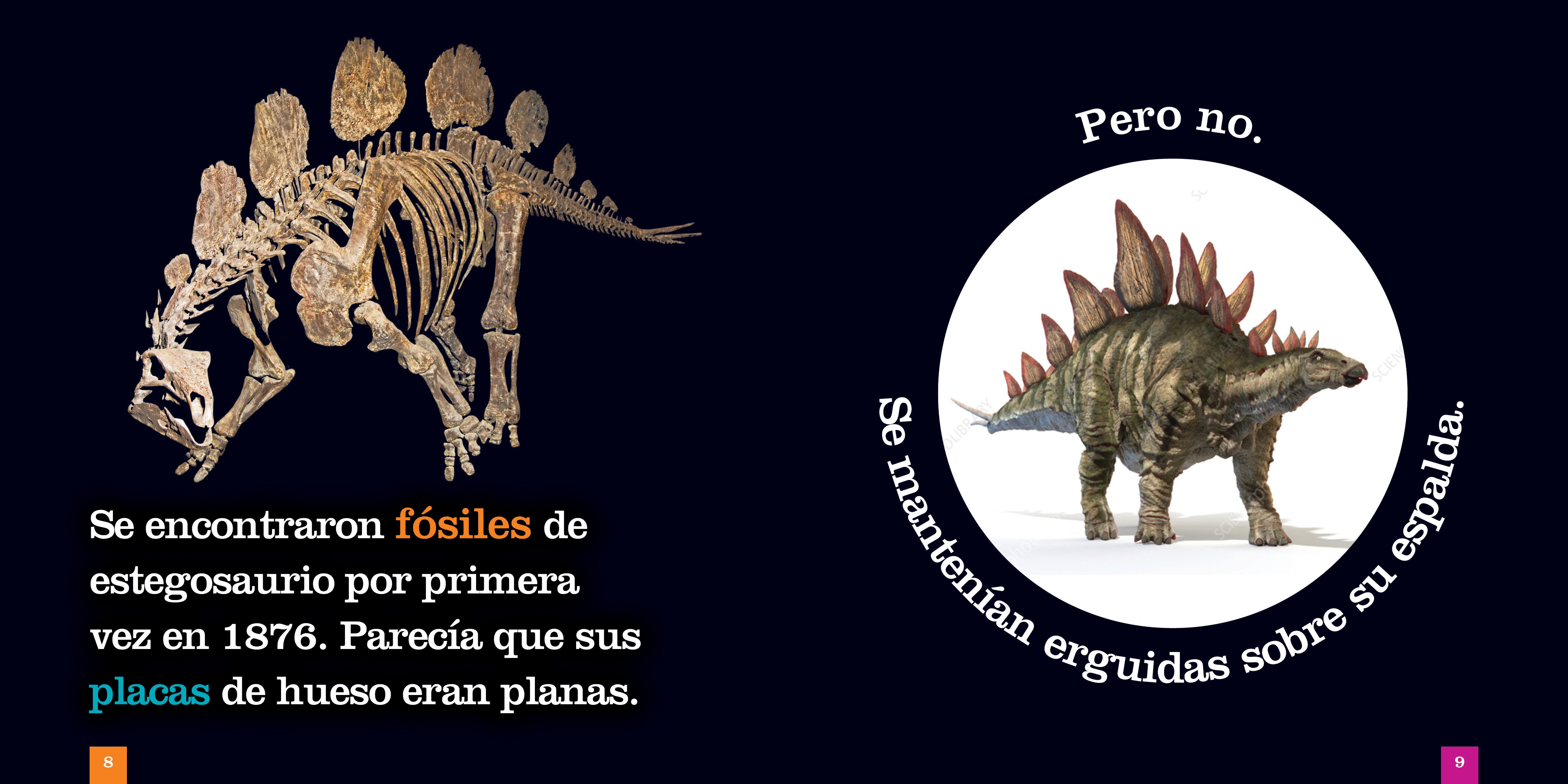 Stegosaurus Dinosaur Book 9781640267329 - Fun Educational Reading for Kids & Dinosaur Enthusiasts