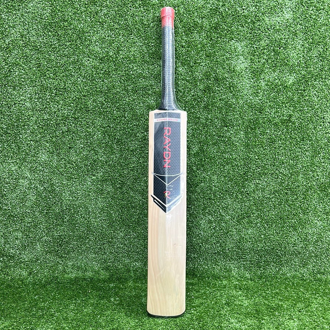 Raydn Steel MS Dhoni Profile Kashmir Willow Lightweight Junior Tennis Ball Cricket Bat - Perfect for Kids & Beginners Training & Practice