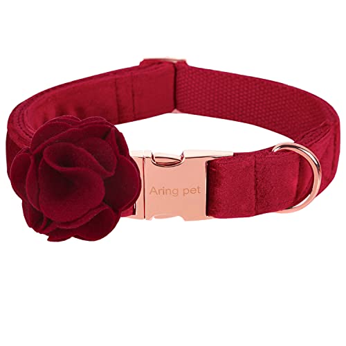 B:Wine Red