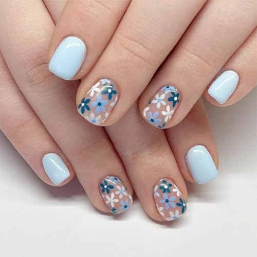 Blue White flowers