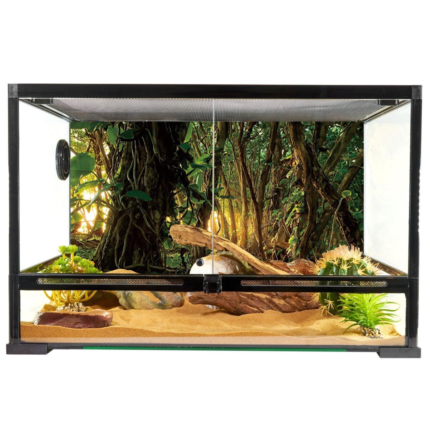 YongFoto 36x18 Inch Reptile Terrarium Background - Tropical Rainforest Jungle & Enchanted Forest Design for Bearded Dragon Tanks | Perfect for Reptile Habitats, Vivarium Decor, and Terrarium Backdrops