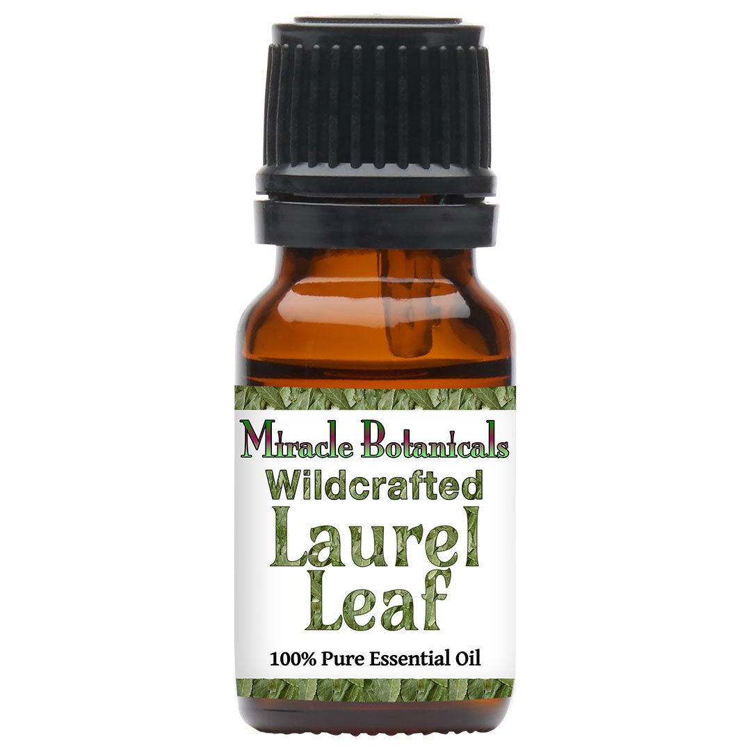 Pure Laurel Leaf Essential Oil (Laurus Nobilis) - 100% Wildcrafted & Natural for Aromatherapy, Massage & Relaxation - Perfect for Diffusers, DIY Skincare & Home Spa