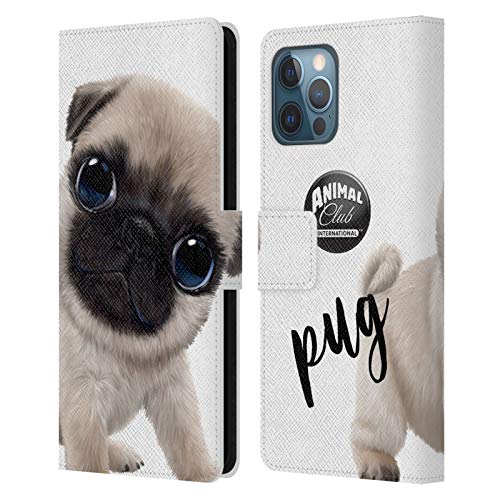 Pug