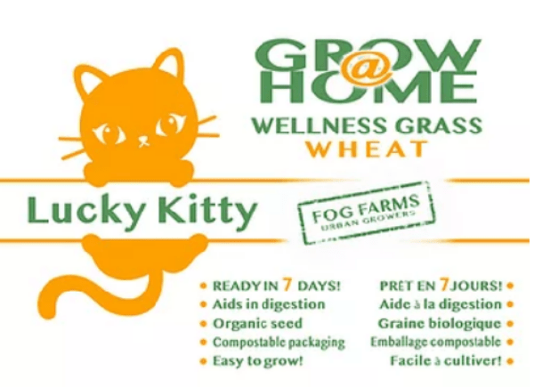 Organic Wheat Grass Grow Kit for Cats - Lucky Kitty Home Planting Set | Indoor Cat Grass Planter for Healthy Digestion & Play