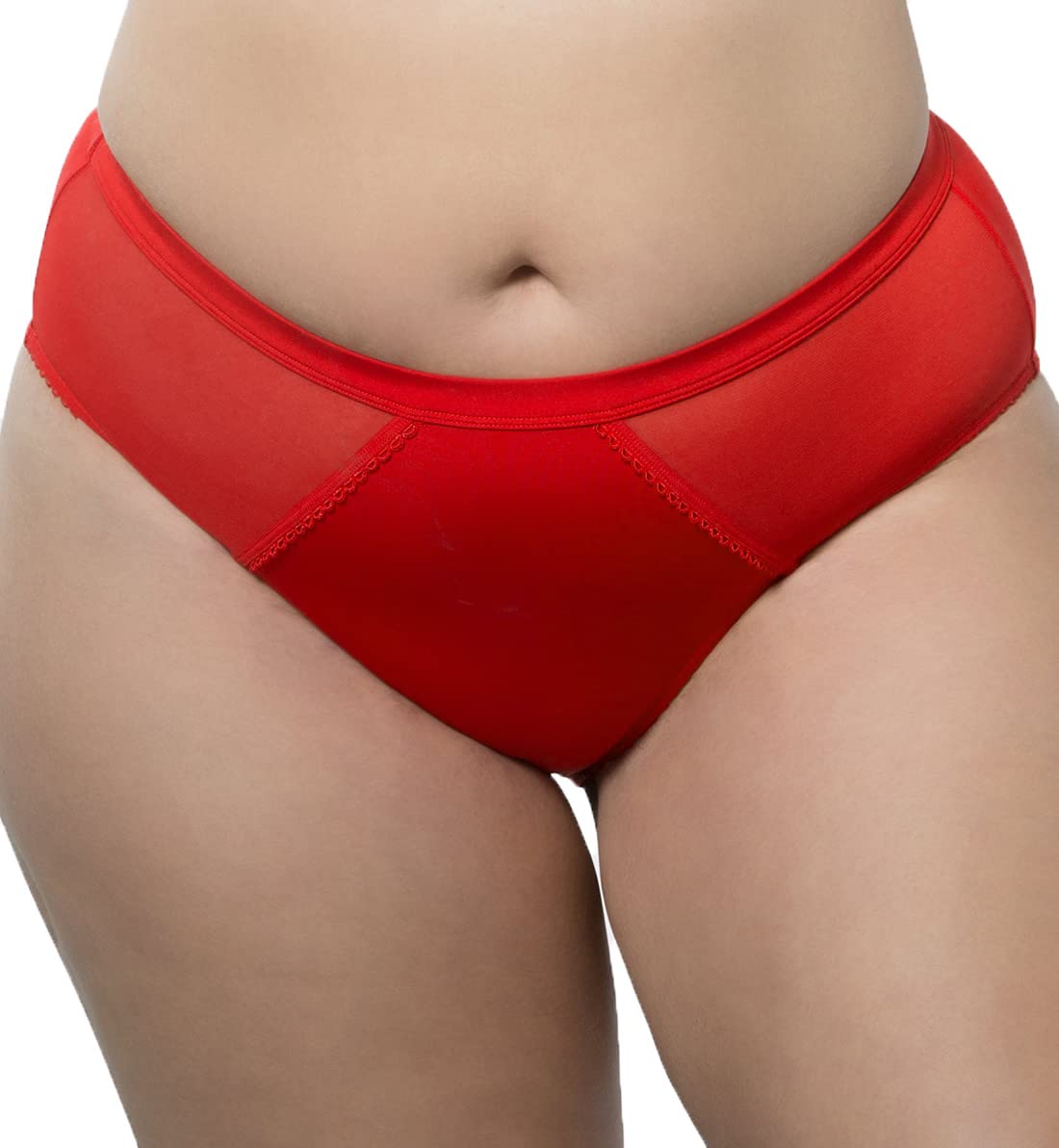 Sheer Smooth French Cut Brief Underwear - Sexy Lingerie for Women in Racing Red | Perfect for Date Nights & Boudoir Photography