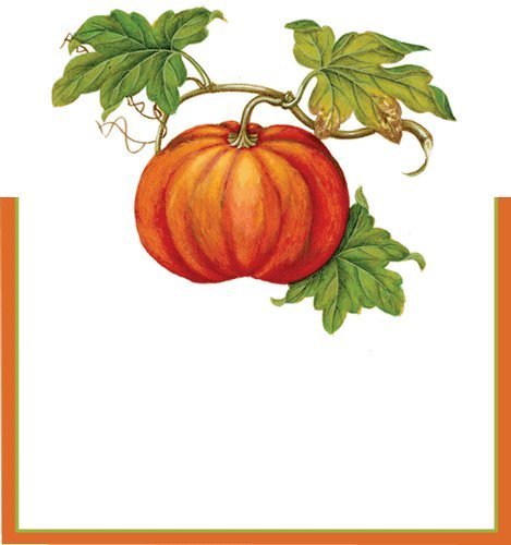 Thanksgiving Place Cards - Elegant Thanksgiving Dinner Table Decorations Set of 16 - Jardin Collection for Holiday Table Setting & Party Decor