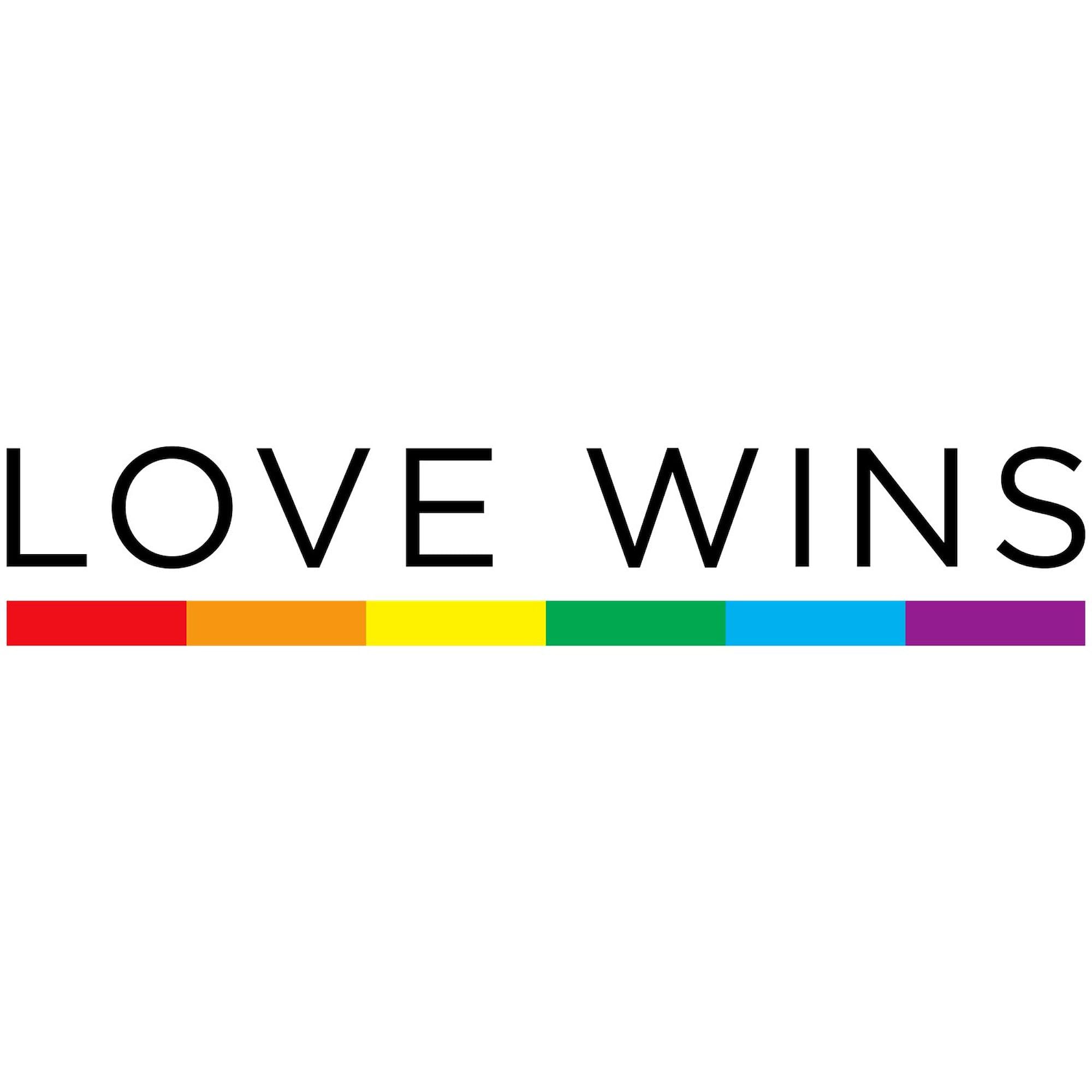Love Wins Car Bumper Sticker - Oval Decal for Cars & Laptops