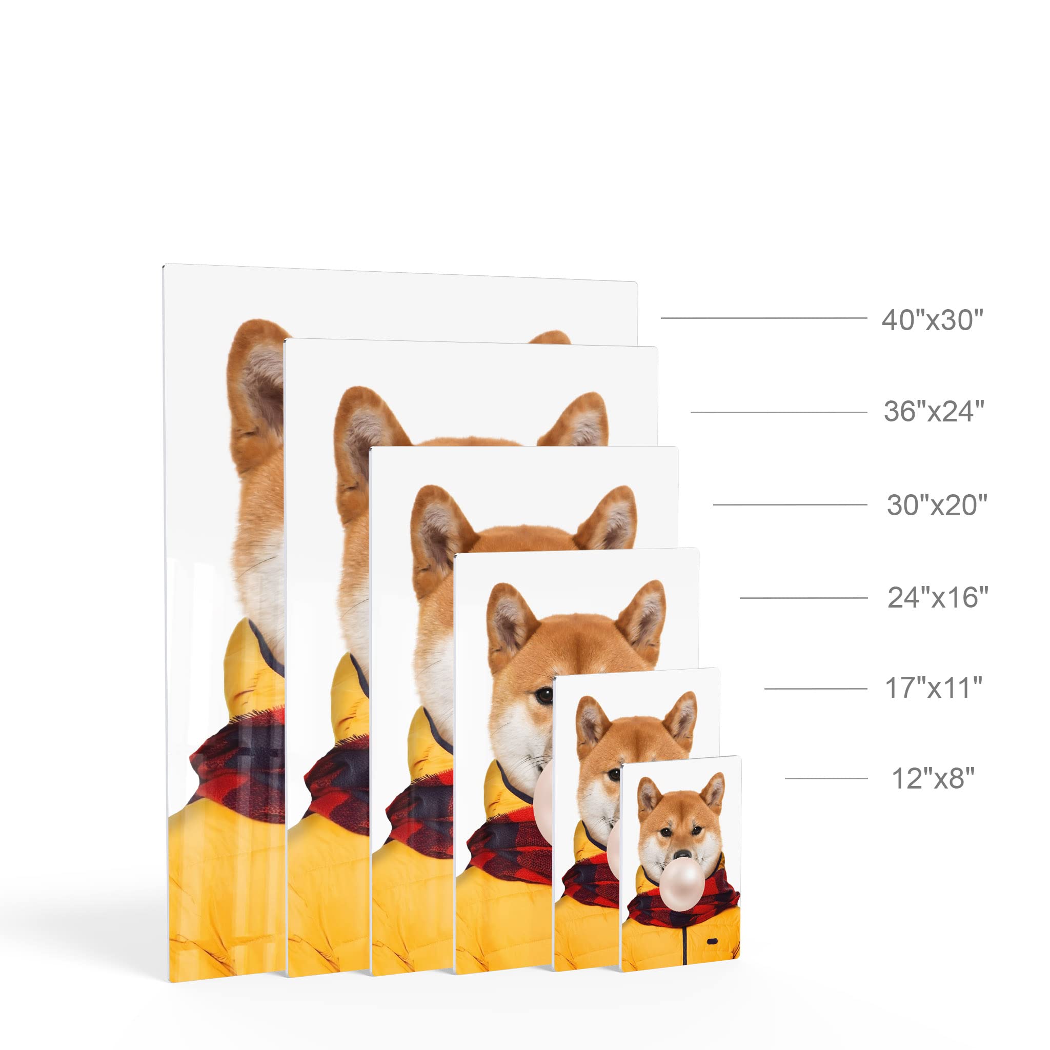 Shiba Inu Dog Portrait Wall Art - Pop Art Metal Print of Cute Dog Wearing Coat & Chewing Bubble Gum - Unique Pet Lover Gift for Office, Living Room, Bedroom, Nursery Decor (40x30 Inches) - Perfect for Animal-Themed Spaces & Dog Enthusiast Home Décor