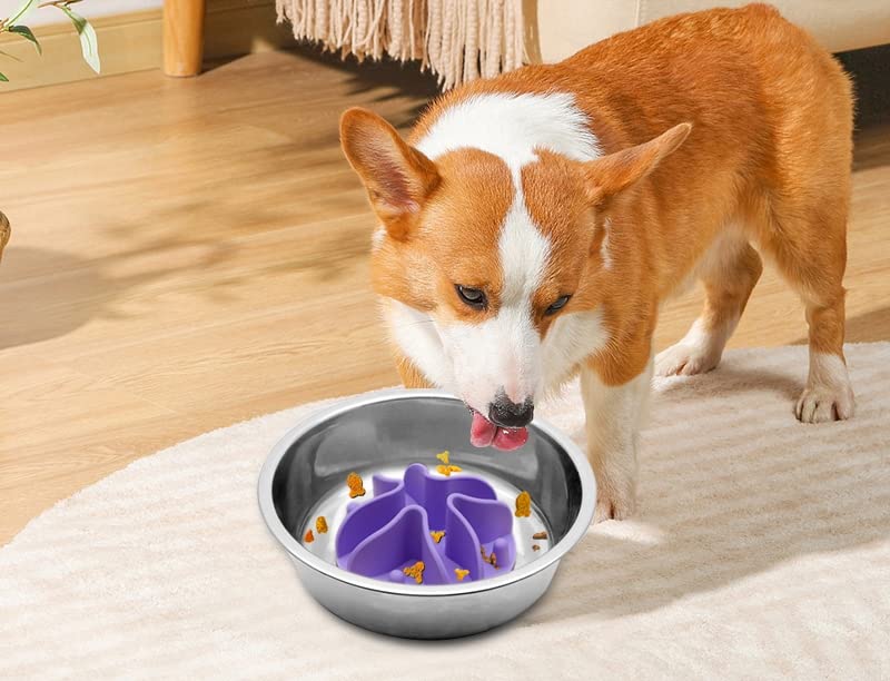 Doweiss Silicone Slow Feeder Dog Bowl Insert for Dogs & Cats - Non-Slip Suction Cups, Large Purple Pet Food Puzzle Bowl - Perfect for Fast Eaters, Digestion Aid & Mealtime Enrichment