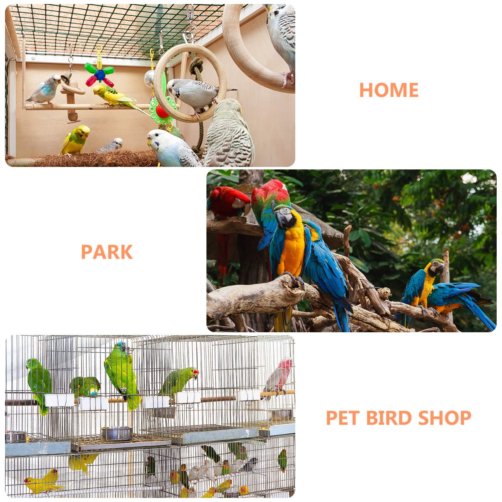POPETPOP 6pcs Parrot Chew Toys - Colorful Bird Cage Hanging Toys for Chewing & Teeth Grinding | Perfect for Parrot Play, Exercise & Stress Relief | Great for Small & Medium Birds Like Cockatiels, Lovebirds & Conures