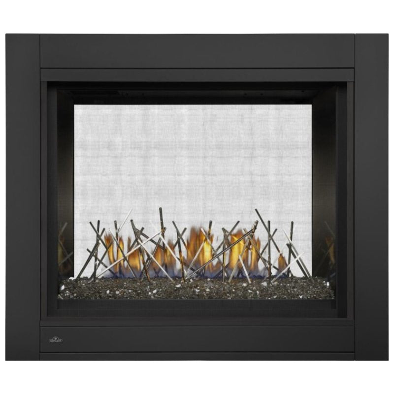 Napoleon Ascent Multi-Sided See-Through Direct Vent Gas Fireplace - BHD4 Model | Perfect for Living Rooms, Patios & Modern Home Decor