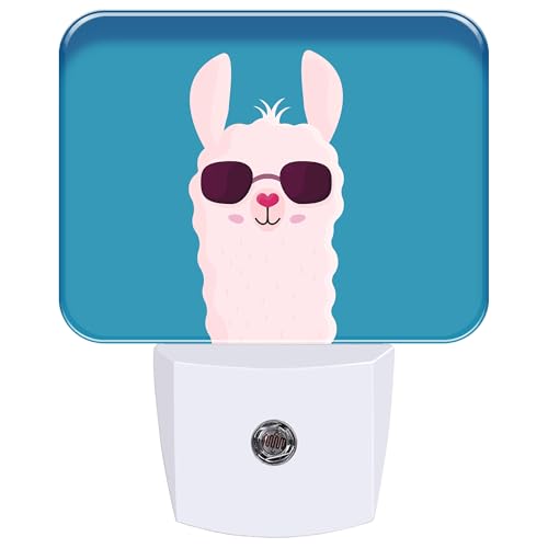 Cute Alpaca