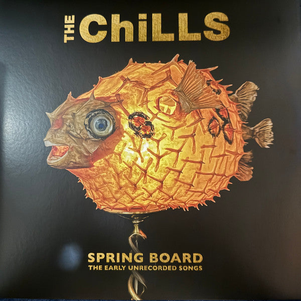 Chills - Premium Winter Jackets for Men & Women | Waterproof & Windproof Outerwear for Hiking, Skiing & Outdoor Adventures