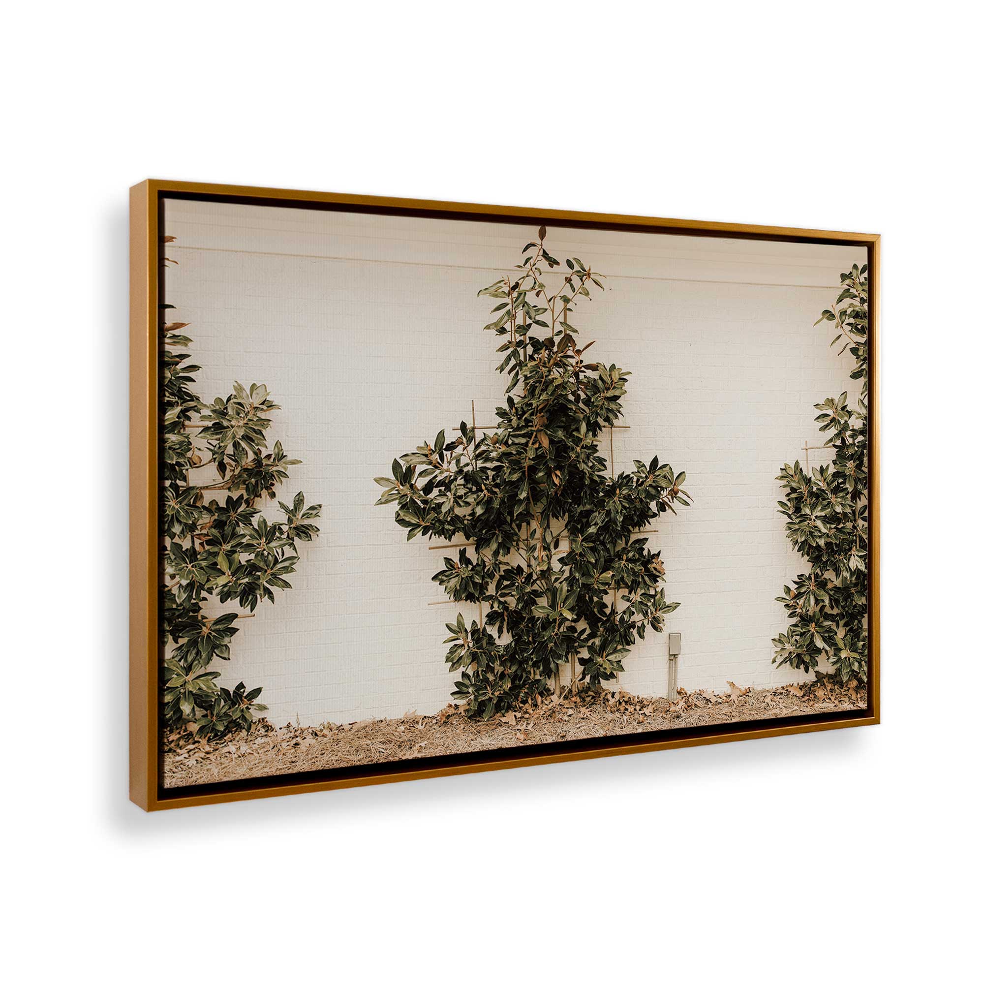 Green Embrace Canvas Wall Art Print - Modern Home Decor for Living Room, Bedroom & Office