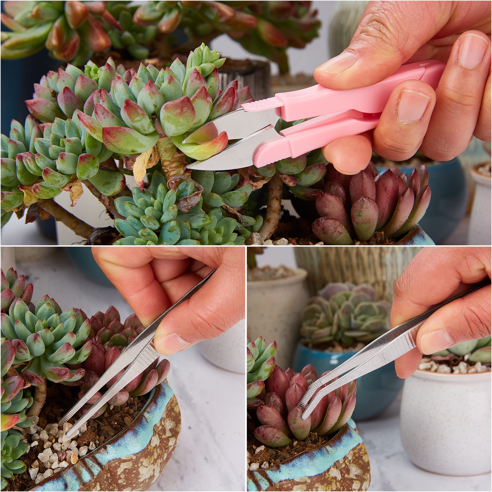 24 Pcs Mini Succulent Tools Set for Indoor/Outdoor Plant Care - Gardening Essentials