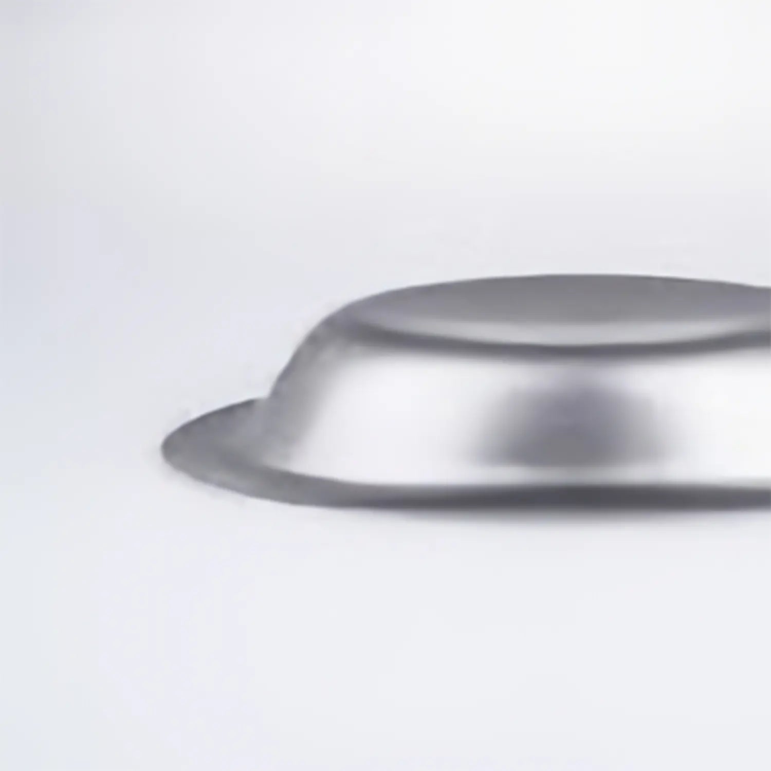 Aoyoshi Vintage Stainless Steel Curry Plate - Elegant Serving Dish for Indian, Japanese & Thai Cuisine | Perfect for Restaurants, Home Dining & Party Entertaining