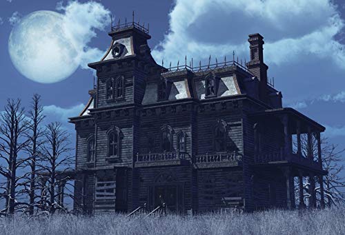 Yeele 10x6.5ft Vintage Haunted House Photography Backdrop - Halloween Horror Night Party Decoration for Kids & Adults - Perfect for Portrait Booth, Studio Props & Wallpaper - Great for Halloween Parties, Photo Shoots & Spooky Home Decor