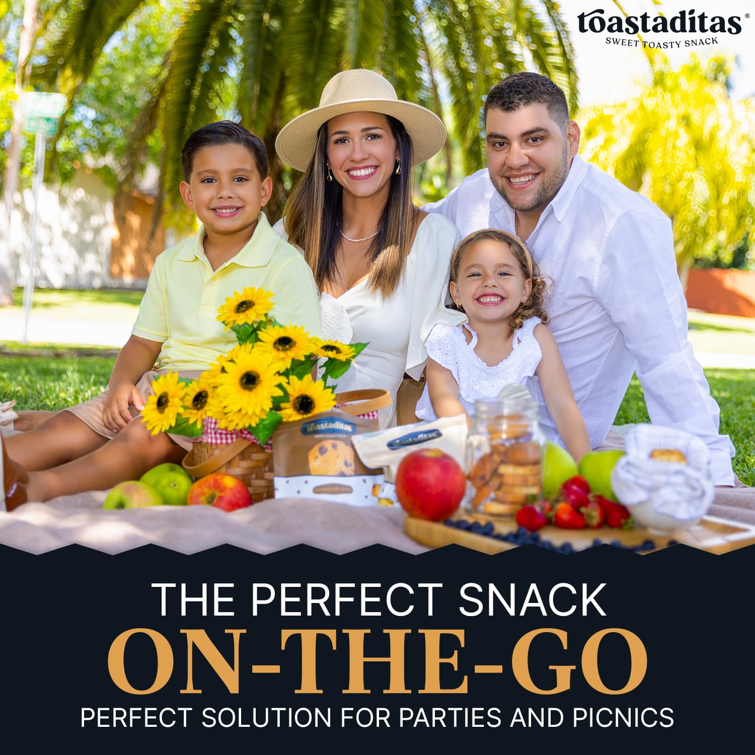 Toastaditas Pistachio Toasted Cookies - Natural Ingredients, No Artificial Flavors | Healthy Snack for Kids & Adults | Perfect with Coffee or Tea | 6 oz Pack | Great for Office, Travel & Gift Giving