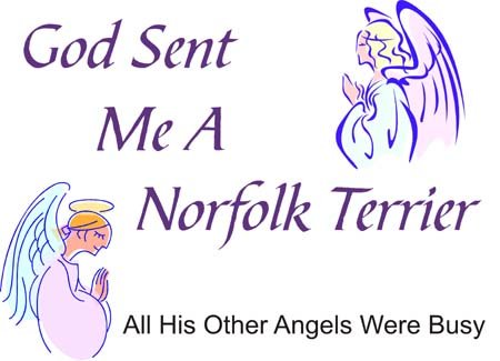 God Sent Me A Norfolk Terrier T-Shirt - Funny Dog Lover Tee - Cute Norfolk Terrier Apparel for Men & Women - Perfect Gift for Pet Owners & Dog Walkers